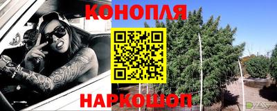 spice Дубна