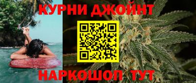 spice Дубна