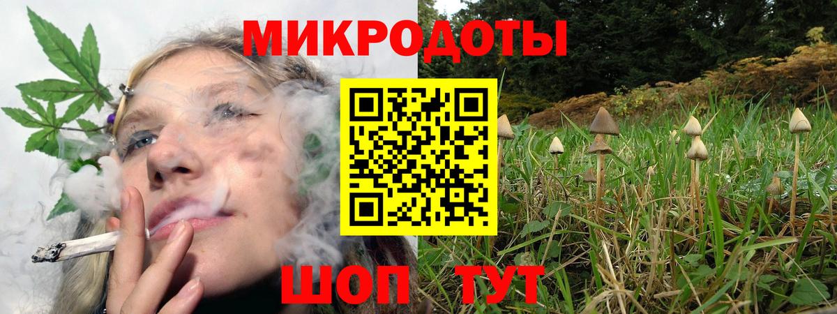 Сунжа  Псилоцибиновые грибы GOLDEN TEACHER  Вход с VPN 